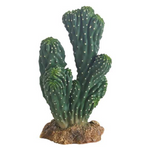 Hobby Cactus Victoria 19cm