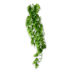 Hobby Climber Philo 70cm