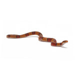 Broadband Bamboo Rat Snake