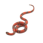 Hypo Tangerine Honduran Milk Snake