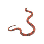 Hypo Tangerine Honduran Milk Snake