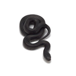 Black Mexican Kingsnake