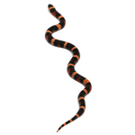 Halloween Pueblan Milk Snake