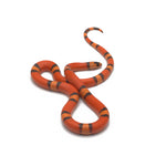 Hypo Tangerine Honduran Milk Snake
