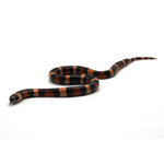 Halloween Pueblan Milk Snake