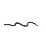 Black Mexican Kingsnake