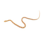 Butter Corn Snake
