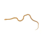 Butter Motley Corn Snake