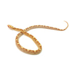 Butter Motley Corn Snake