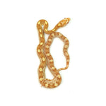 Butter Motley Corn Snake