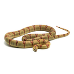 Highland Herbs Yellow Nuevo Leon Kingsnake