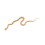 Butter Motley Corn Snake
