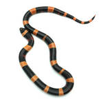 Halloween Pueblan Milk Snake