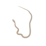 Ghost Tessera Corn Snake