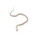 Ghost Tessera Corn Snake