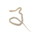 Ghost Tessera Corn Snake