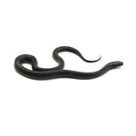 Mexican Black Kingsnake