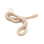 Snow Tessera Corn Snake