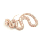 Snow Tessera Corn Snake