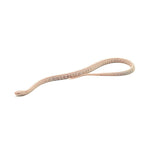 Snow Tessera Corn Snake