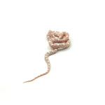 Snow Corn Snake
