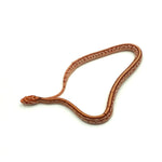 Albino Tessera Corn Snake