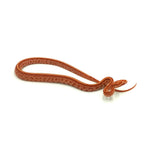 Albino Tessera Corn Snake