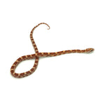 Ultramel Corn Snake