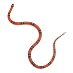 Super Hypo Tangerine Honduran Milk Snake
