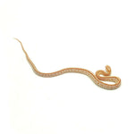 Butter Tessera Corn Snake