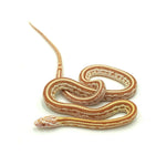 Butter Tessera Corn Snake