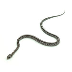 Anery Tessera Corn Snake