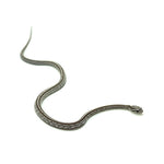 Anery Tessera Corn Snake