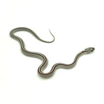 Anery Stripe Corn Snake