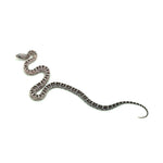 Anery Scaleless Corn Snake