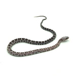 Anery Scaleless Corn Snake