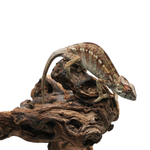 Misto Panther Chameleon