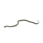 Anery Stripe Corn Snake