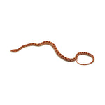 Albino Corn Snake