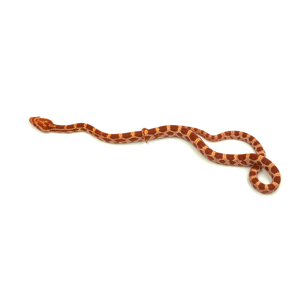 Albino Corn Snake