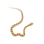 Butter Corn Snake