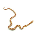 Butter Corn Snake