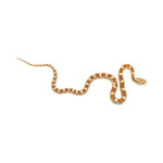Butter Corn Snake
