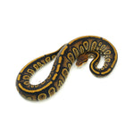 Stranger Het Clown Ball Python