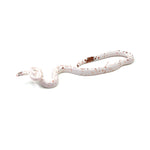 Palmetto ph Amel Anery Blood Red Motley