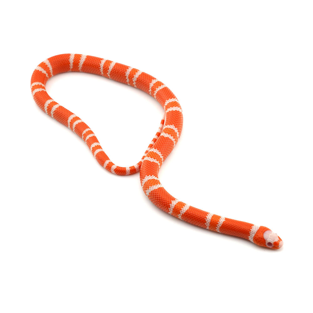 Albino Tangerine Honduran Milk Snake