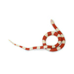 Albino Nelson Milk Snake