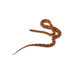 Obbotts Okeetee het Lava Corn Snake