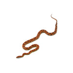Obbotts Okeetee het Lava Corn Snake