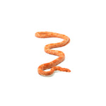 Mandarin Corn Snake